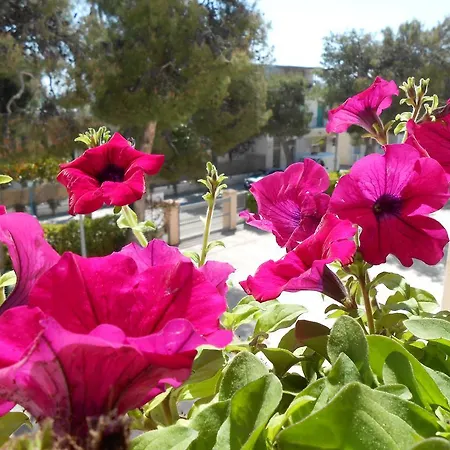 Sacro Cuore Opera Don Guanella Hotel *