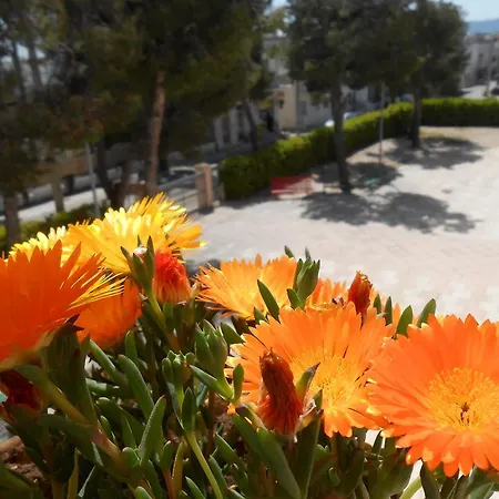 Hotel Sacro Cuore Opera Don Guanella Torre Canne