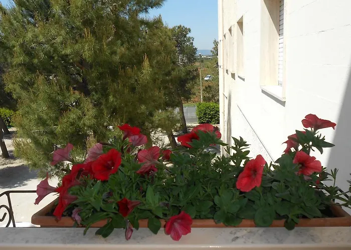 Sacro Cuore Opera Don Guanella Hotel
