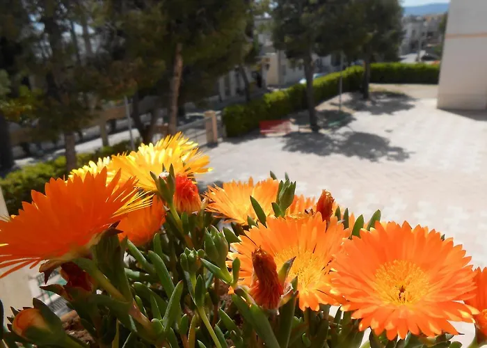 Hotel Sacro Cuore Opera Don Guanella Torre Canne