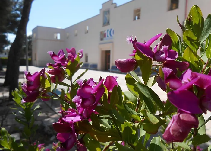 Sacro Cuore Opera Don Guanella Hotel *